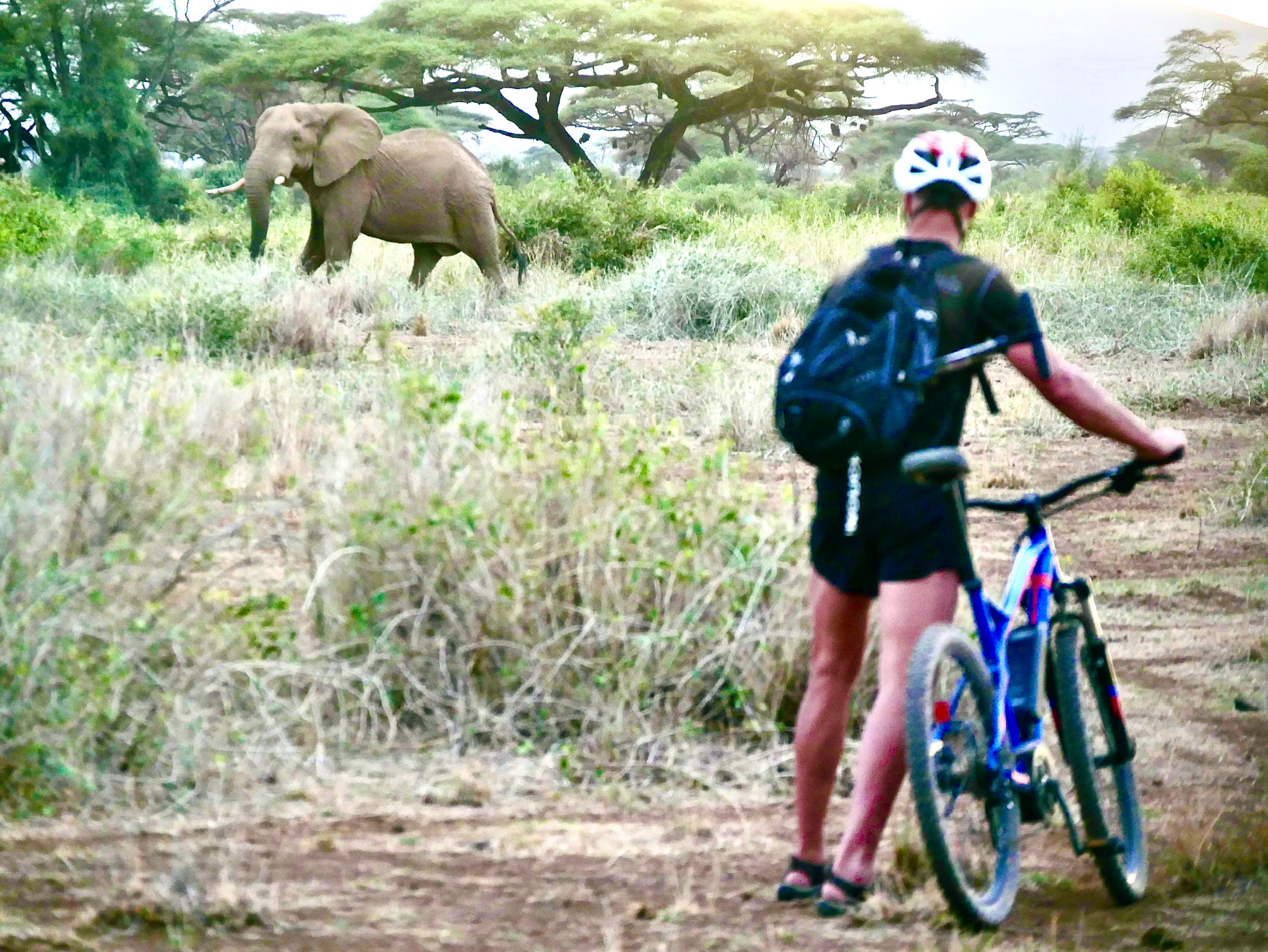 Cycling and Wildlife Adventures in Kenya